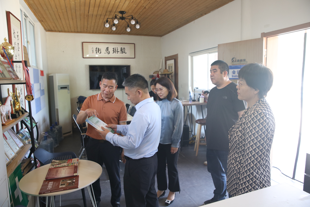 图片21