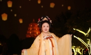 杨莲莲个人简介