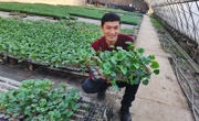 麦麦提艾力·库来西个人简介